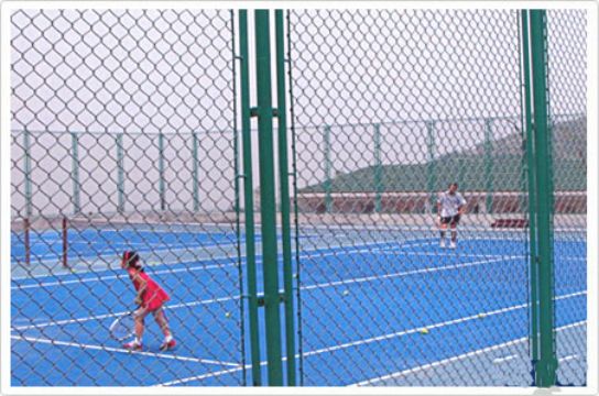 球場(chǎng)圍網(wǎng)