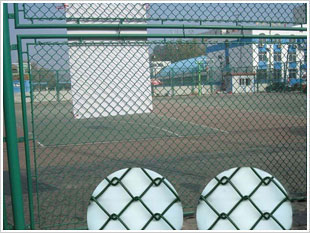 涂塑護欄網(wǎng)3