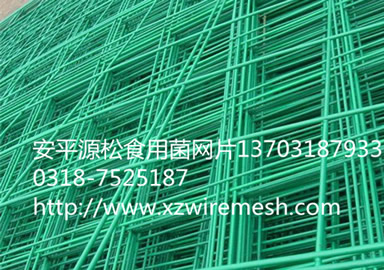 食用菌網(wǎng)片