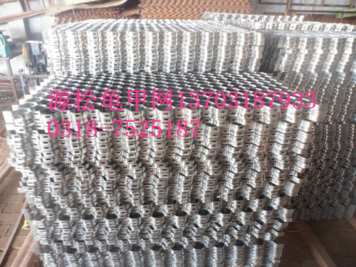 不銹鋼龜甲網(wǎng)
