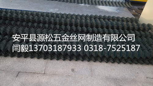 鉤花護欄網(wǎng)