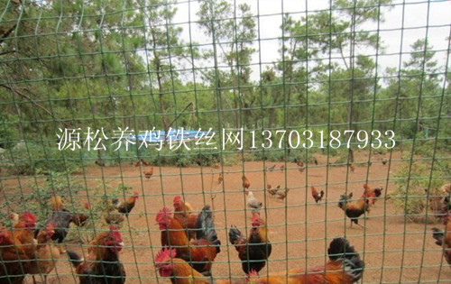 養(yǎng)雞鐵絲網(wǎng)