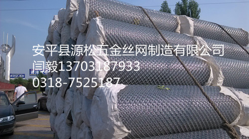 電廠保溫勾花鐵絲網(wǎng)