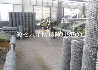 電廠保溫六角鐵絲網(wǎng)