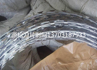 刀片刺繩防護網