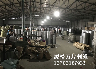 刀片刺繩防護網