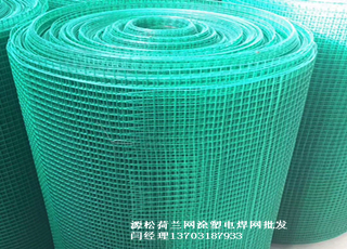 綠色鐵絲網(wǎng)