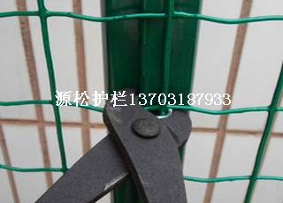 綠色鐵絲網(wǎng)