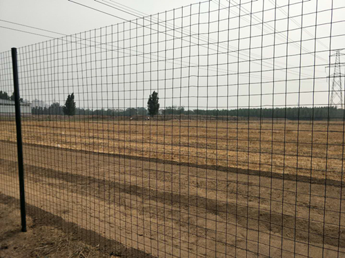 綠色鐵絲網(wǎng)