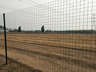 圈地護欄網(wǎng)