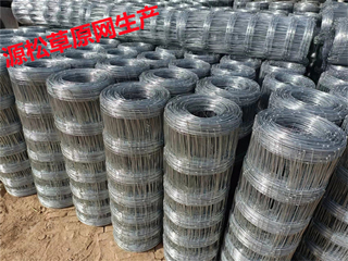 草原圍欄網(wǎng)